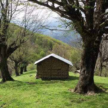 photo_2025-12-04_22-51-24