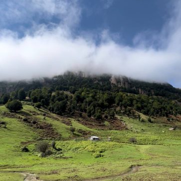 photo_2025-12-04_22-57-48