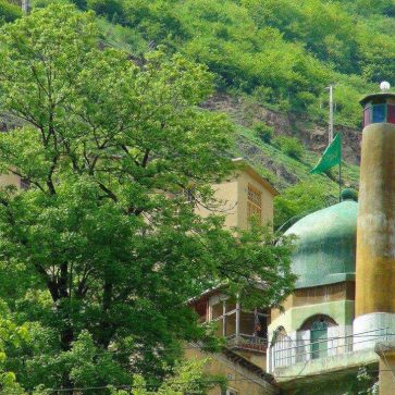 photo_2025-12-11_11-04-54