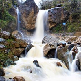 photo_2025-12-11_11-09-18